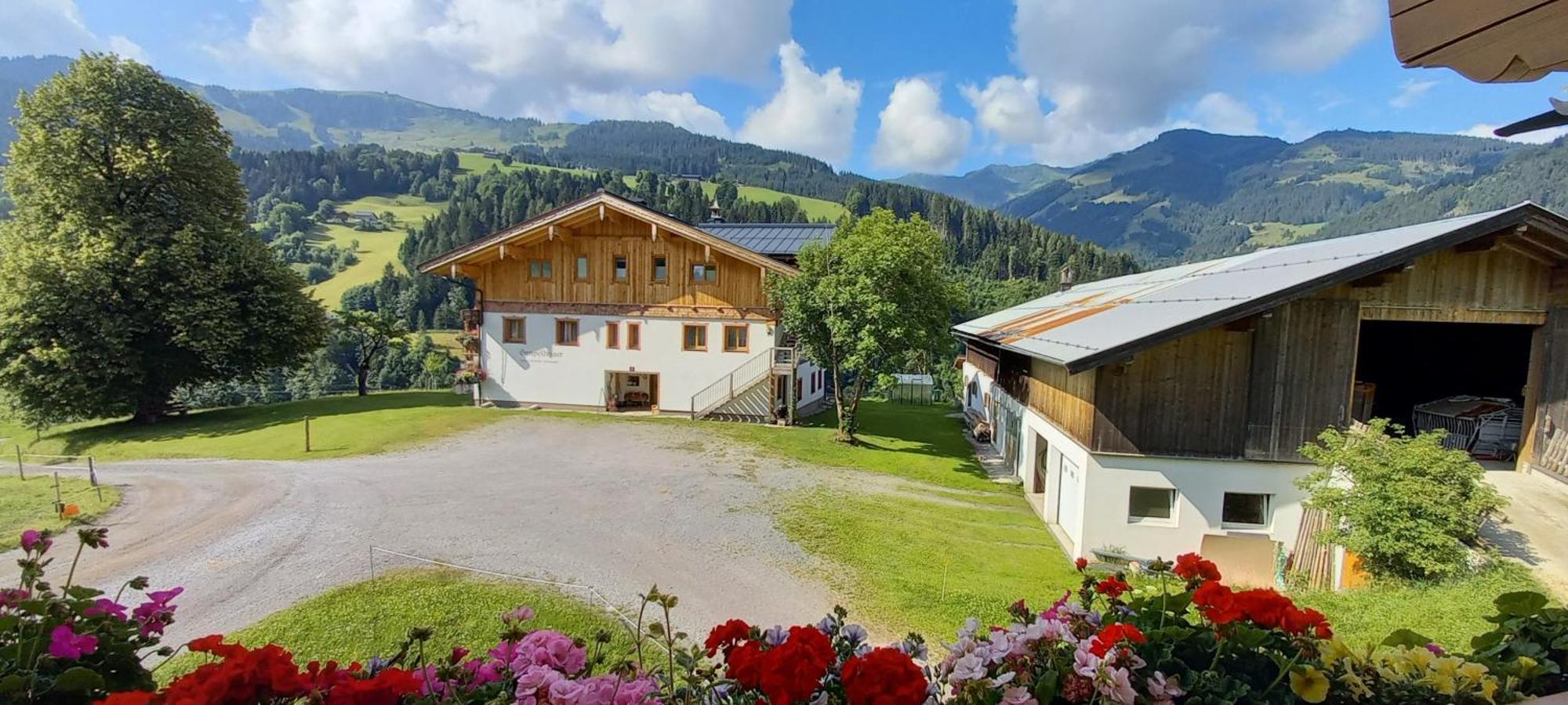 Villa Gumpoldbauer à Maria Alm Extérieur photo