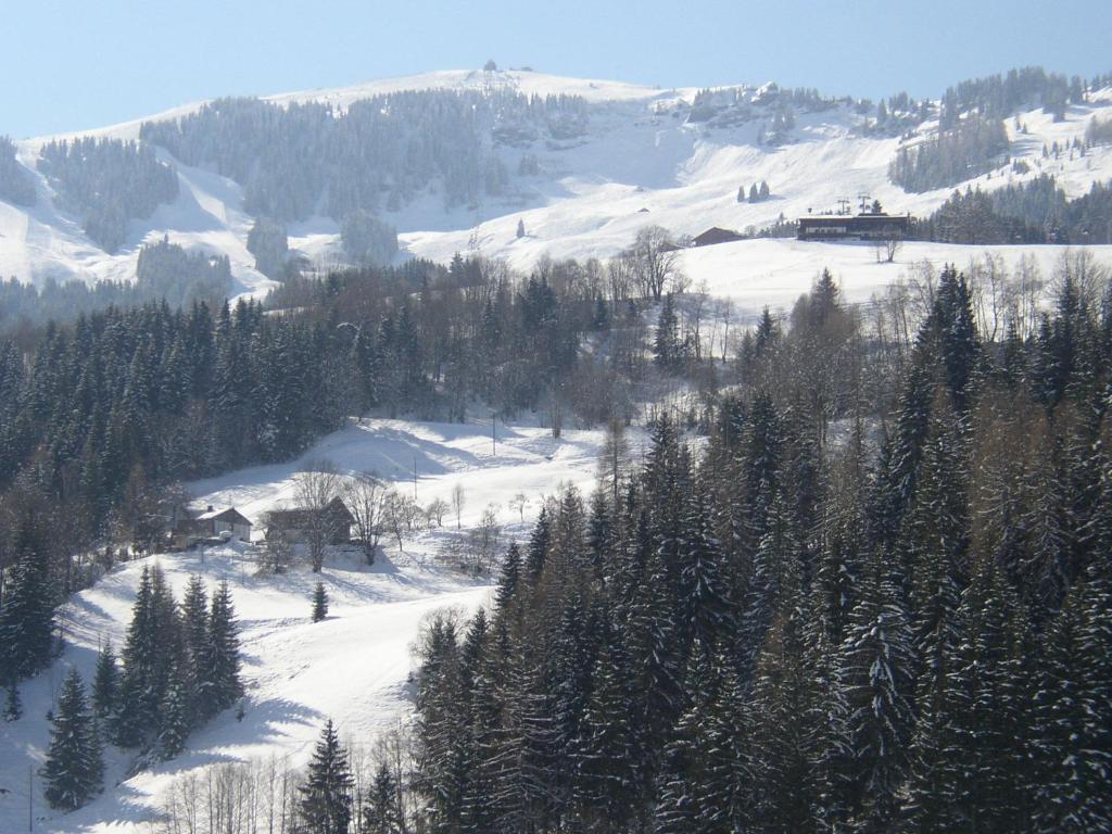 Villa Gumpoldbauer à Maria Alm Extérieur photo
